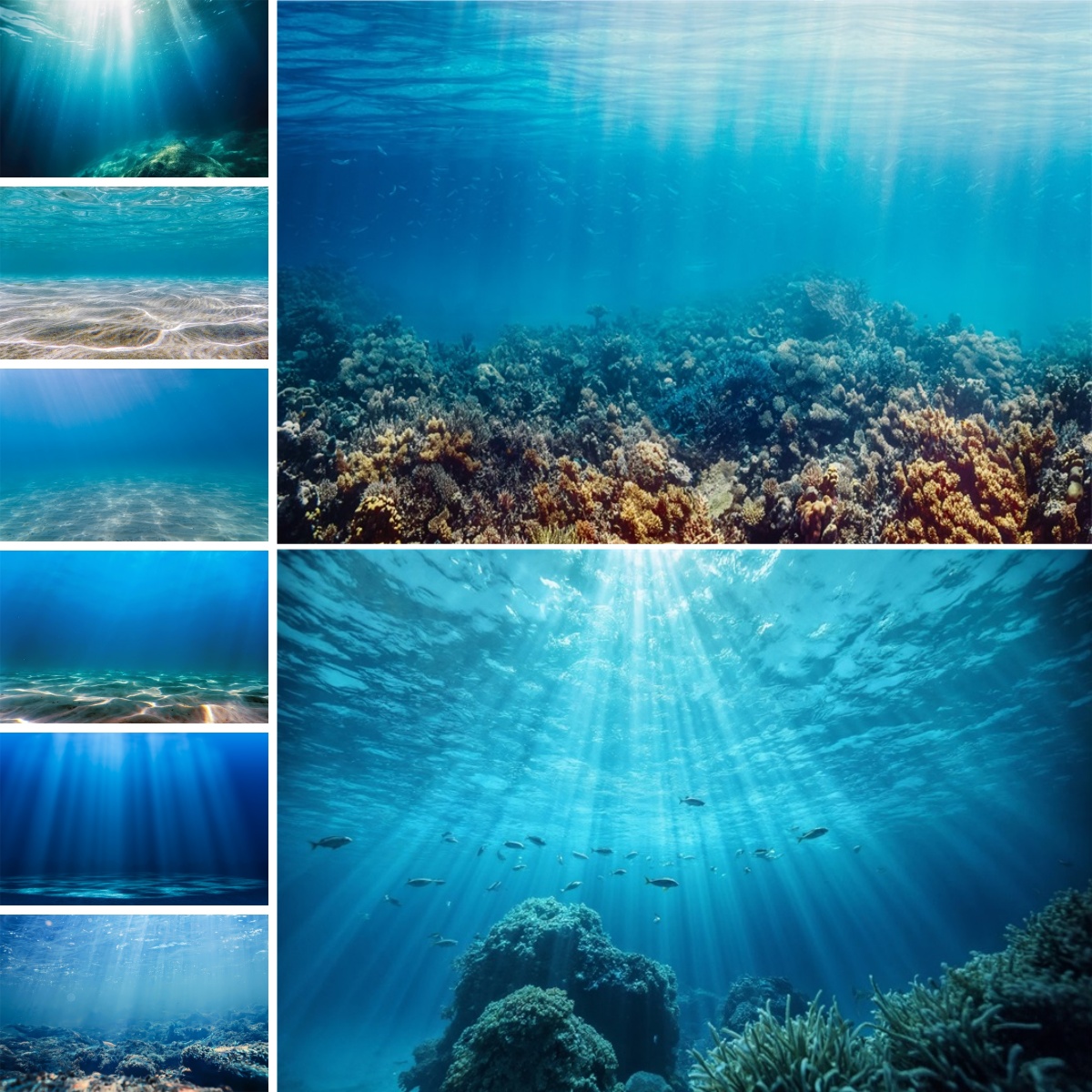 青い水中世界の背景幕、水槽の装飾、海洋水中水族館、赤ちゃん、 - Photo Develop Tank のレビューと価格